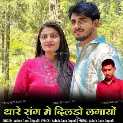 Thare Sang Me Dildo Lagayo - Ashok Rana Gopadi album cover 