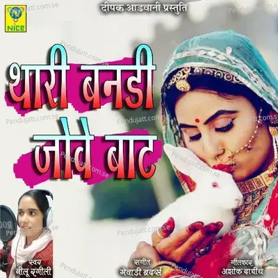 Thari Bandi Jove Baat - Neelu Rangili album cover 