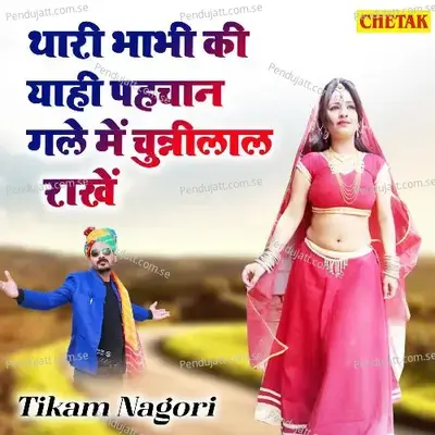 Thari Bhabhiki Yahi Pahchan Gale Me Chunnilal Rakhe - Tikam Nagori album cover 