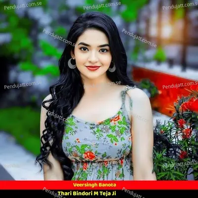 Thari Bindori M Teja Ji - Veersingh Banota album cover 