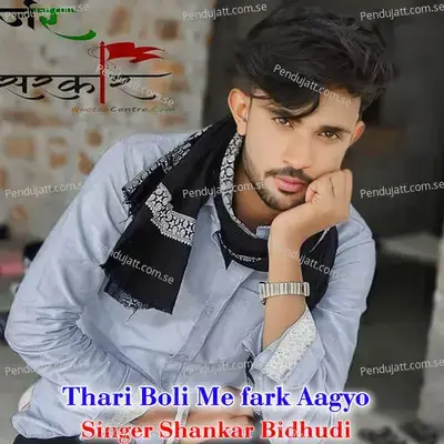 Thari Boli Me Fark Aagyo - Shankar Bidhudi album cover 