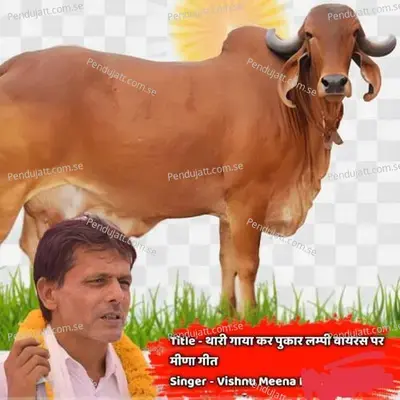 Thari Gaya Kar Pukar - Vishnu Meena album cover 