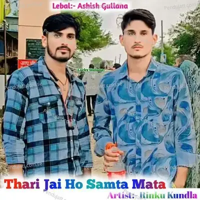 Thari Jai Ho Samta Mata - Rinku Kundla album cover 