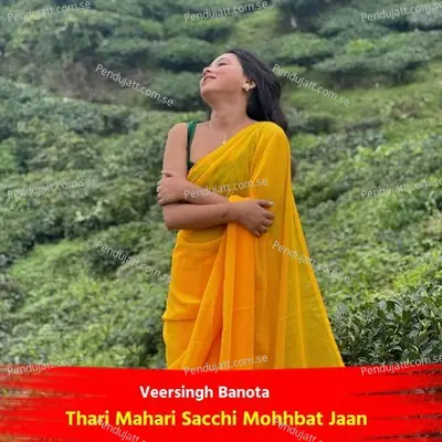 Thari Mahari Sacchi Mohhbat Jaan - Veersingh Banota album cover 
