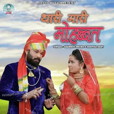Thari Mari Mohabbat - Shambhu Meena album cover 