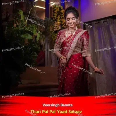 Thari Pal Pal Yaad Sataav - Veersingh Banota album cover 