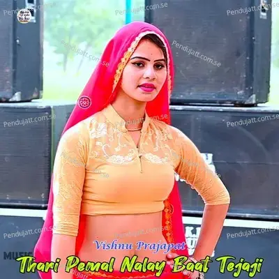 Thari Pemal Nalay Baat Tejaji - Vishnu Prajapat album cover 