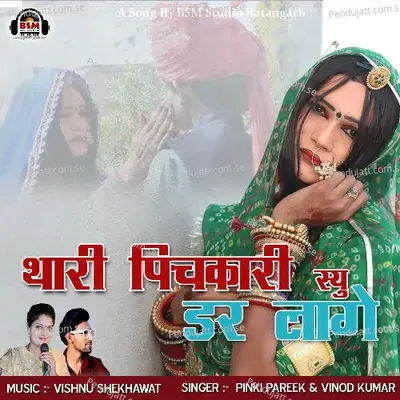 Thari Pichkari Su Dar Lage - Pinki Pareek album cover 