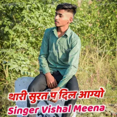 Thari Surat P Dil Aagyo - Singer Vishal Meena album cover 
