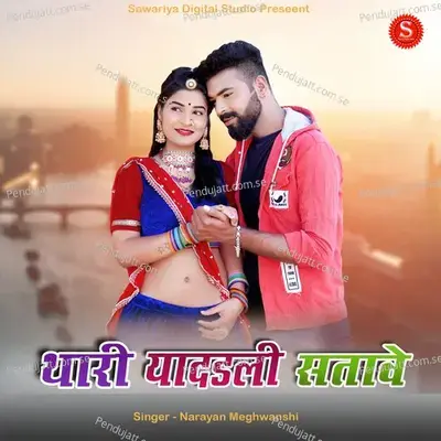 Thari Yadadli Satave - Narayan Meghwanshi album cover 