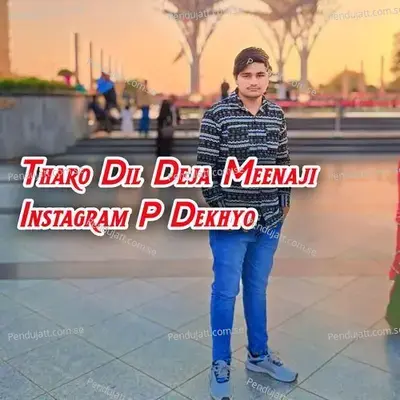 Tharo Dil Deja Meenaji Instagram P Dekhyo - Rinku Dhanoli album cover 