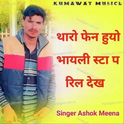 Tharo Fan Huyo Bhayaili Insta Pe Reel Dekh - Ashok Meena album cover 