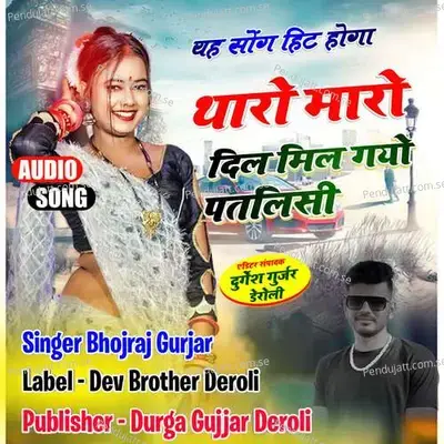 Tharo Maaro Dil Mil Gyo Patlisi - Bhojraj Gurjar album cover 