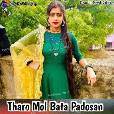 Tharo Mol Bata Padosan - Dinesh Dekwa album cover 