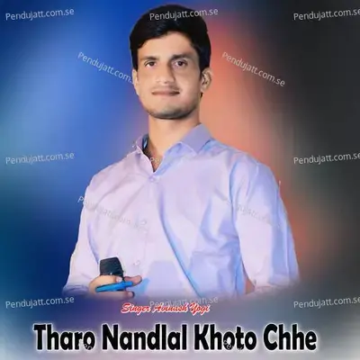 Tharo Nandlal Khoto Chhe - Avinash Yogi album cover 