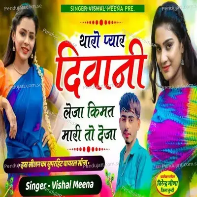 Tharo Pyaar Deewani Leja - Singer Vishal Meena album cover 