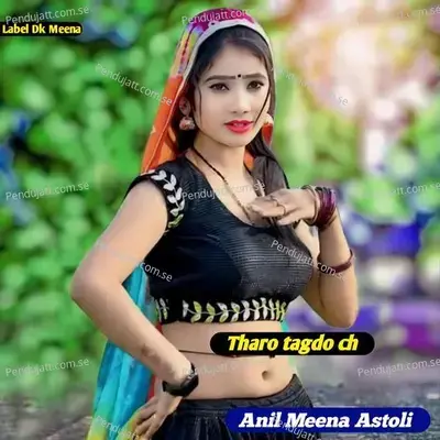 Tharo Tagdo Ch - Anil Meena Astoli album cover 