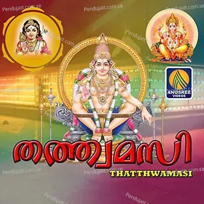 Vaani Vallabha - Prasanth Nittoor album cover 