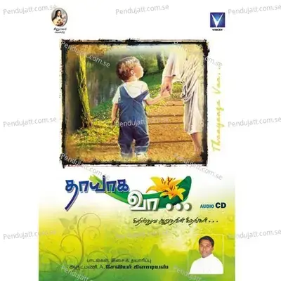 Aadhi Muthalva - Binni Krishnakumar album cover 