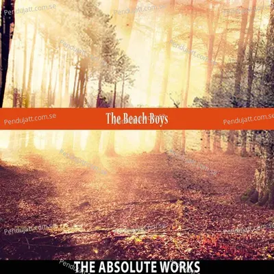 The Absolute Works - The Beach Boys cover album