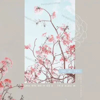 The Album  Remixes  - Shawn Mendes