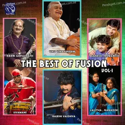 Vital Force - Rajhesh Vaidhya album cover 