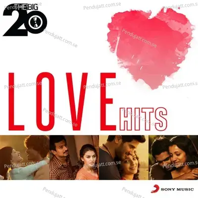 The Big 20 (Love Hits) - Various Artists cover album