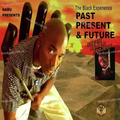 The Journey - Naru Kwina album cover 