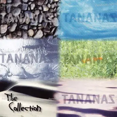 The Collection - Tananas cover album