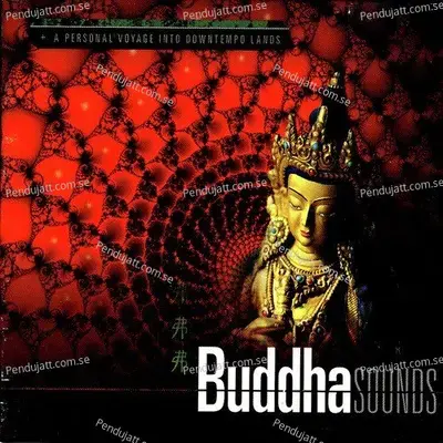 Cuando Te Vas - Buddha Sounds album cover 