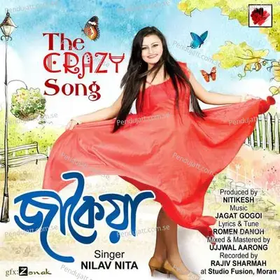 The Crazy Girl - Nilav Nita album cover 