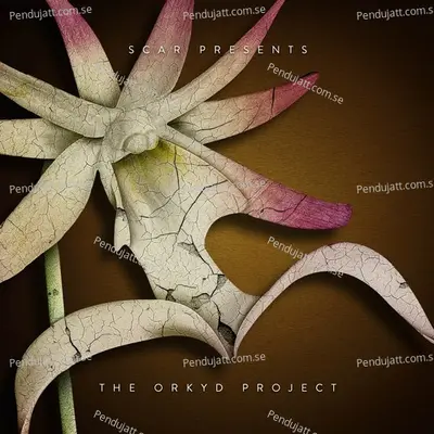 The Orkyd Project - Scar cover album