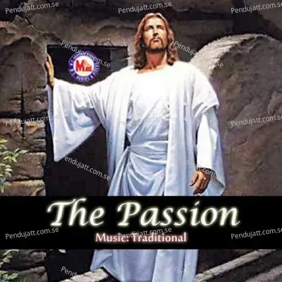 The Passion For Ringtone - Various Artists cover album