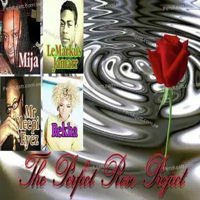 The Perfect Rose Project - Various Artists