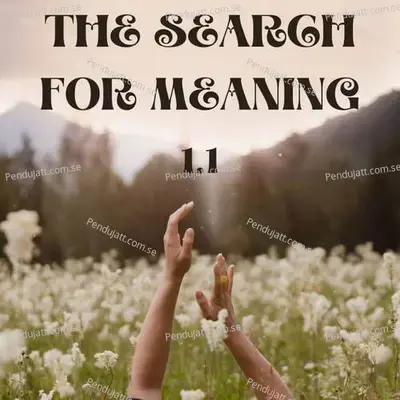 The Search For Meaning 1 1 - Lakhan Hire album cover 