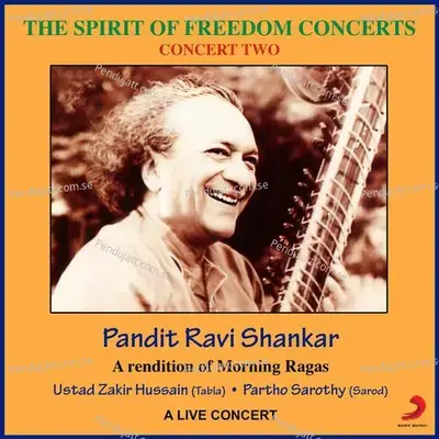 Anand Bhairav - Pandit Ravi Shankar album cover 