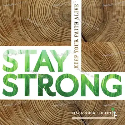 Stay Strong - Krishna Das album cover 