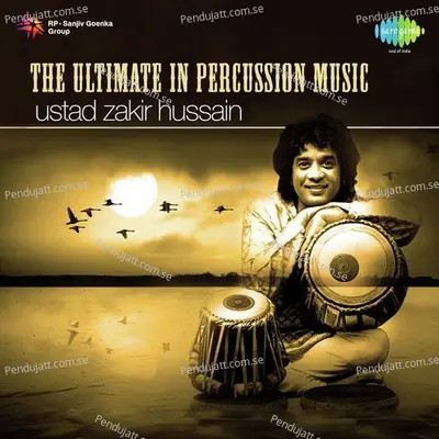 Punjabi Dhamar - Ustad Zakir Hussain album cover 