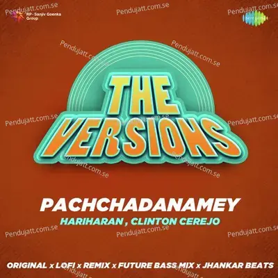 Pachchadanamey - Jhankar Beats - DJ Harshit Shah album cover 