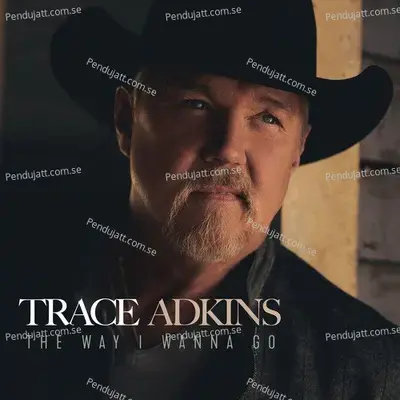 The Way I Wanna Go - Trace Adkins album cover 