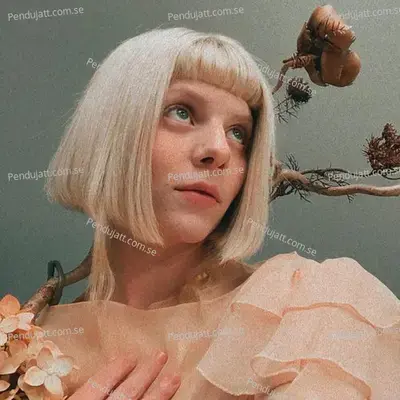 The Woman I Am - Aurora album cover 