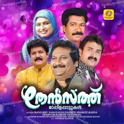 Aaninkannu Pennin Melu - Ramesh Chandran album cover 