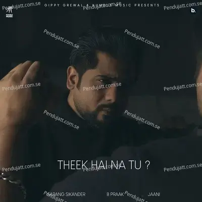 Theek Hai Na Tu - Sarang Sikander album cover 