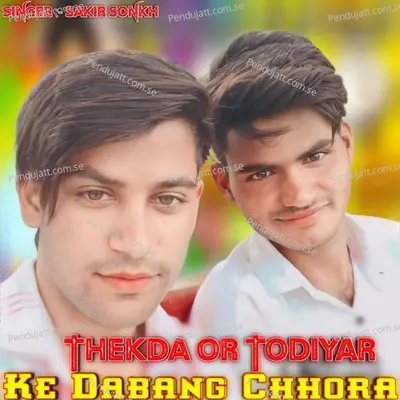 Thekda Or Todiyar Ke Dabang Chhora - Sakir Singer Mewati album cover 