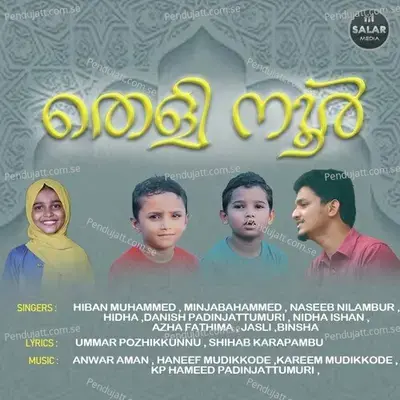 Khalbinullil Poonilavay - Danish Padinjattumuri album cover 