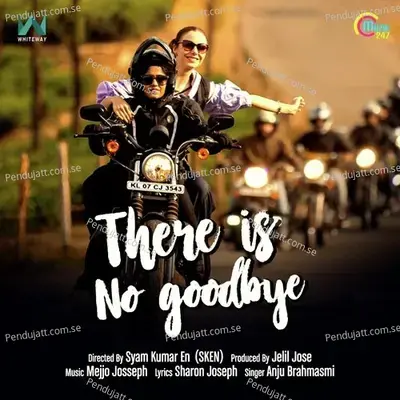 There Is No Goodbye - Anju album cover 