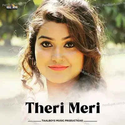 Theri Meri - Safwan Sha Vittal album cover 