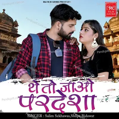 They To Jao Pardesha - Salim Shekhawas album cover 
