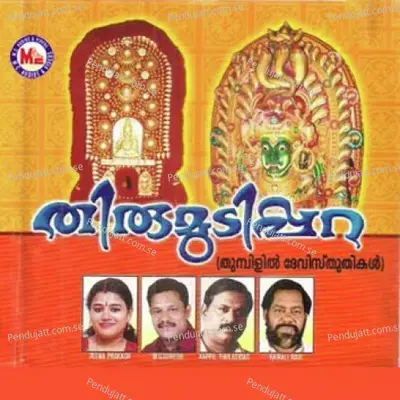 Amme Devi - Reji Sadanandan album cover 