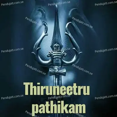Thiruneetru Pathikam - Veeramani Kannan album cover 
